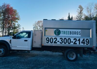 White truck with Treeborgs branding and number.