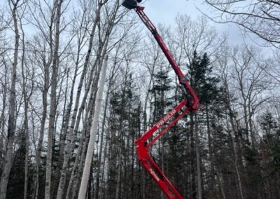 Tree trimming with red crane in forest.