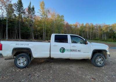 White truck with Treeborgs Inc branding.
