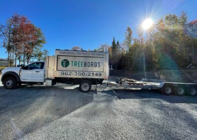 Truck and trailer with Treeborgs branding.