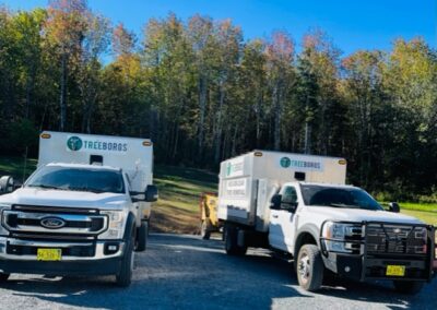 Two Treeborgs trucks parked near forest.