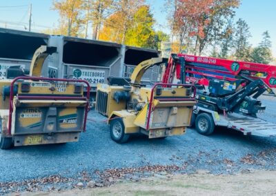 Tree service trucks and equipment in lot.