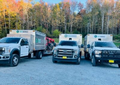 Tree service trucks parked near colorful trees.